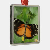 Tiger Longwing Butterfly Ornament (Rechts)
