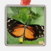 Tiger Longwing Butterfly Ornament (Voorkant)