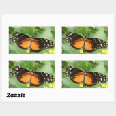 Tiger Longwing Butterfly Stickers (Vel)