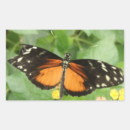 Tiger Longwing Butterfly Stickers (Voorkant)