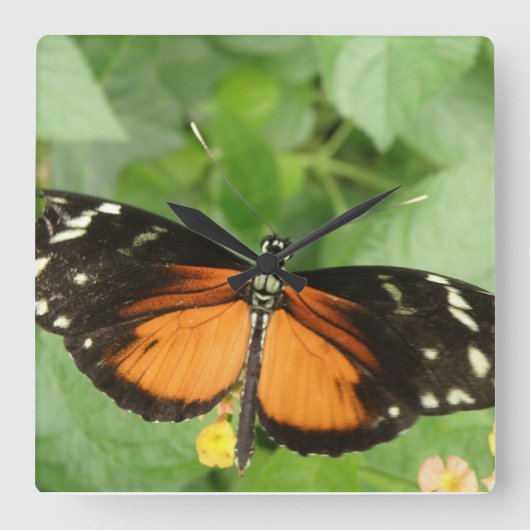 Tiger Longwing Butterfly Wall Clock Vierkante Klok (Voorkant)
