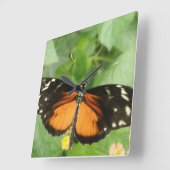 Tiger Longwing Butterfly Wall Clock Vierkante Klok (Hoek)