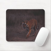 Tiger loopt langs de trein muismat (Met muis)