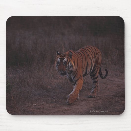 Tiger loopt langs de trein muismat (Voorkant)