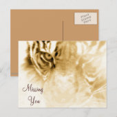 ,Tiger Love_ Briefkaart (Voorkant / Achterkant)