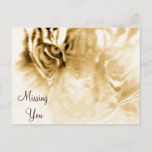 ,Tiger Love_ Briefkaart (Voorkant)
