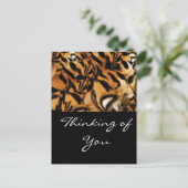 Tiger Love_ Briefkaart (Staand voorkant)