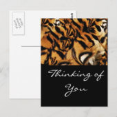 Tiger Love_ Briefkaart (Voorkant / Achterkant)