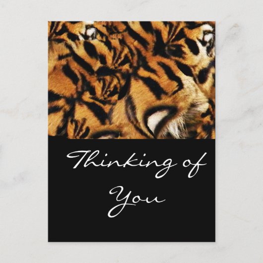 Tiger Love_ Briefkaart (Voorkant)