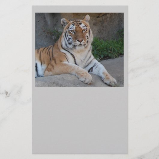 Tiger Love Briefpapier (Voorkant)