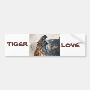 Tiger Love Bumpersticker
