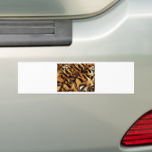 Tiger Love_ Bumpersticker (Op auto)