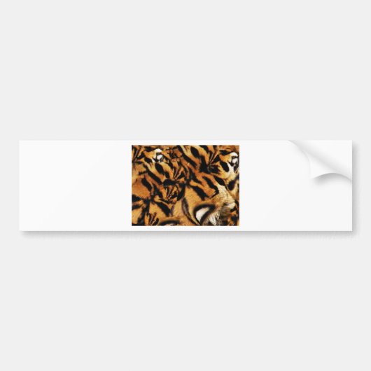 Tiger Love_ Bumpersticker (Voorkant)