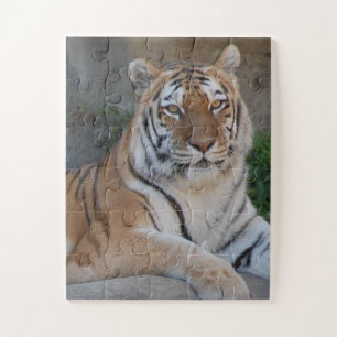 Tiger Love Legpuzzel