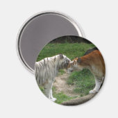 Tiger Love Magneet (Voorkant / Achterkant)