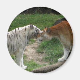 Tiger Love Magneet