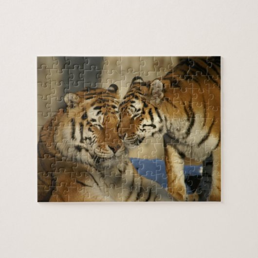 Tiger Love Puzzle Legpuzzel (Horizontaal)