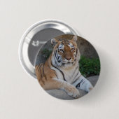 Tiger Love Ronde Button 5,7 Cm (Voorkant /achterkant)