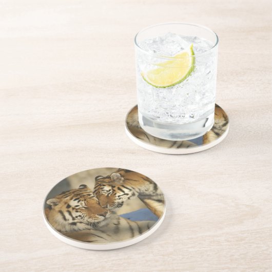 Tiger Love Sandstone Onderzetter (Zijkant)