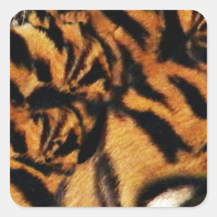 Tiger Love_ Vierkante Sticker