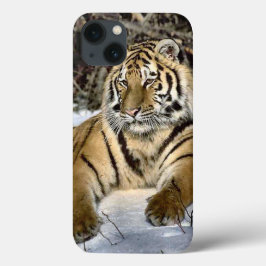 Tiger Lovers iPhone 13 Hoesje