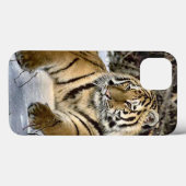 Tiger Lovers Case-Mate iPhone Case (Achterkant (horizontaal))