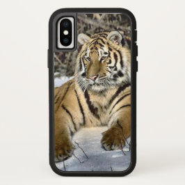 Tiger Lovers iPhone 13 Hoesje