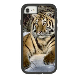 Tiger Lovers iPhone 13 Hoesje