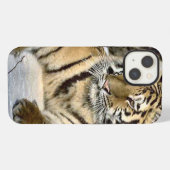 Tiger Lovers iPhone Hoesje (Achterkant horizontaal)