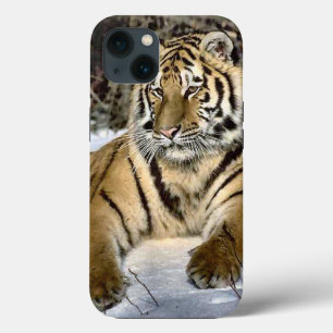 Tiger Lovers iPhone 13 Hoesje