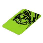 TIGER MAGNEET (Linkerzijde)