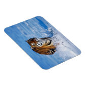 Tiger Magnet Magneet (Rechterzijde)