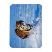 Tiger Magnet Magneet (Verticaal)