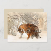 Tiger mama en baby briefkaart (Voorkant / Achterkant)