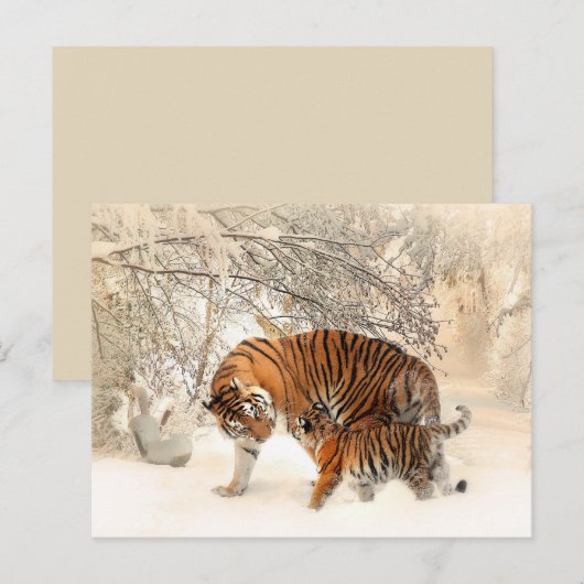 Tiger mama en baby briefkaart (Voorkant / Achterkant)