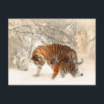 Tiger mama en baby briefkaart<br><div class="desc">Tijgermoeder en baby-briefkaart voor alle gelegenheden. En vergeet niet dat u uw bestelling kunt aanpassen.</div>