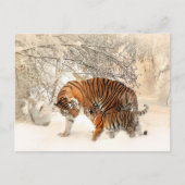 Tiger mama en baby briefkaart (Voorkant)