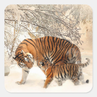 Tiger mama en baby stickers