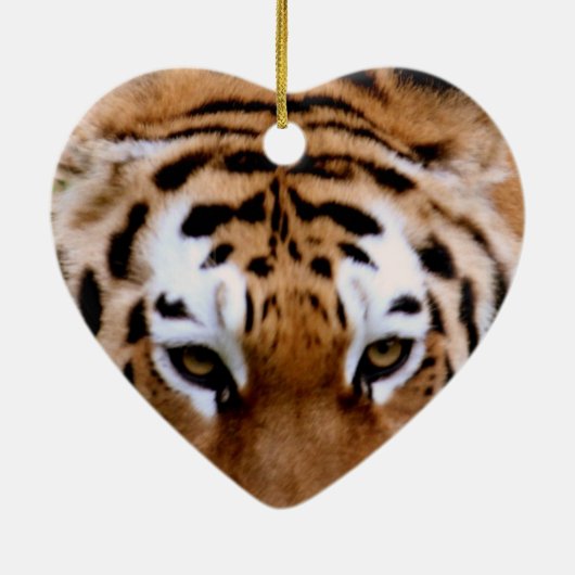 Tiger Markings Ornament (Achterkant)