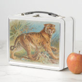 Tiger Metal Lunch Box (In situ)