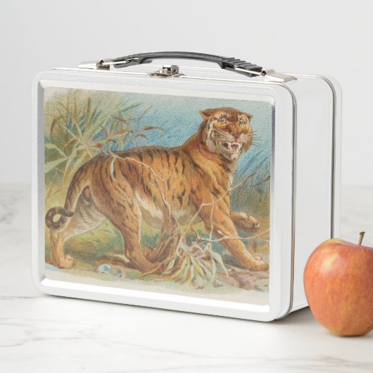  Tiger Metal Lunch Box (In situ)