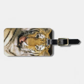 Tiger Michigan Zoo Bagagelabel (Voorkant horizontaal)