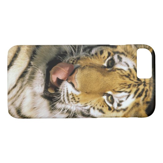 Tiger Michigan Zoo Case-Mate iPhone Case (Achterkant (Horizontaal))