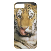 Tiger Michigan Zoo Case-Mate iPhone Case (Achterkant)