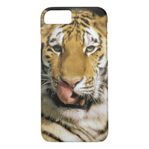 Tiger Michigan Zoo Case-Mate iPhone Case