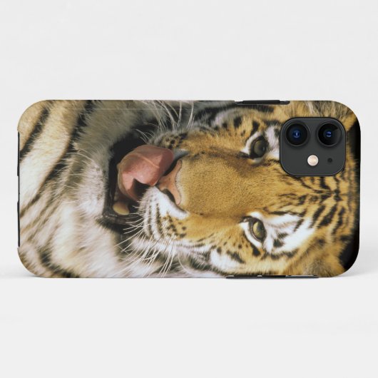 Tiger Michigan Zoo Case-Mate iPhone Case (Achterkant (horizontaal))