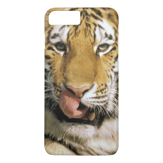 Tiger Michigan Zoo Case-Mate iPhone Case (Achterkant)