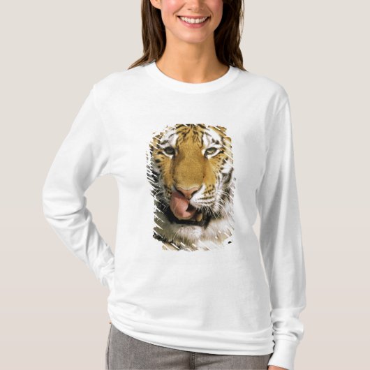 Tiger Michigan Zoo T-shirt (Voorkant)