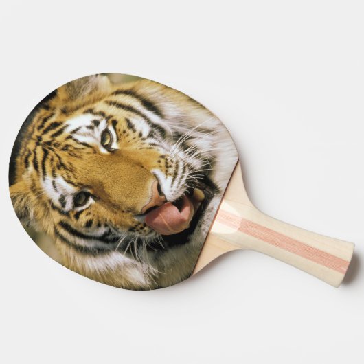 Tiger Michigan Zoo Tafeltennisbatje (Zijkant)