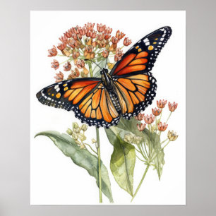 Tiger Milkweed Butterfly Art Print Poster